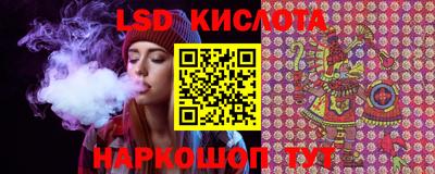 сатива Гатчина