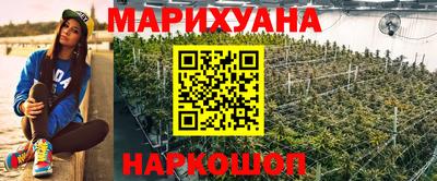 сатива Гатчина